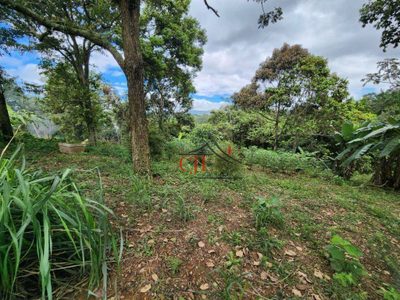 Chácara, 2400 m² - Foto 2