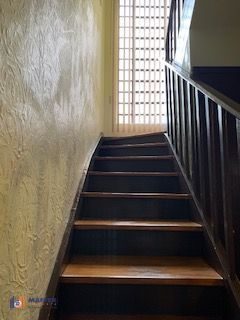 Casa, 7 quartos, 380 m² - Foto 4