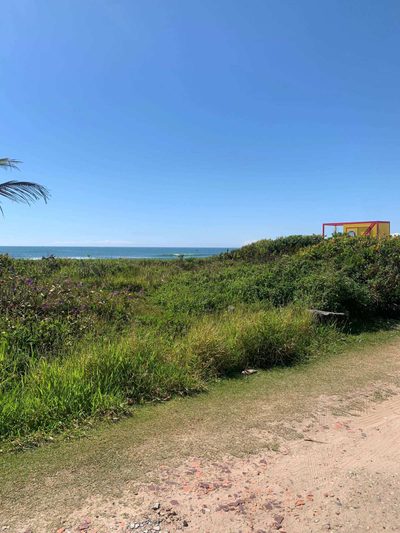 Casa, 4 quartos, 280 m² - Foto 4