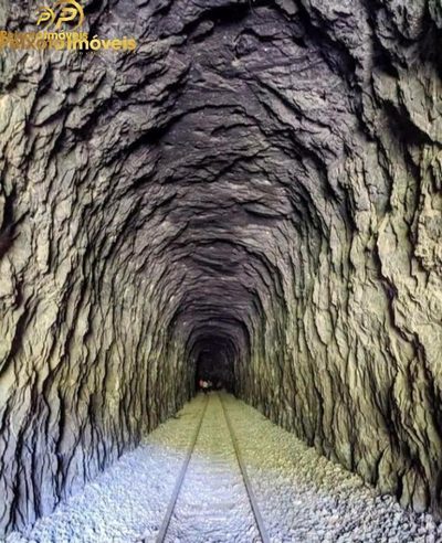 Chácara, 4100 m² - Foto 3