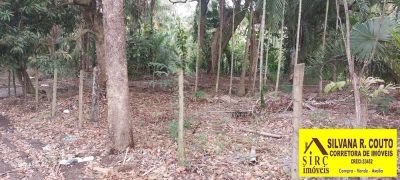 Terreno, 8000 m² - Foto 4