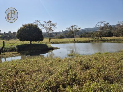 Sítio, 4 quartos, 500 m² - Foto 1