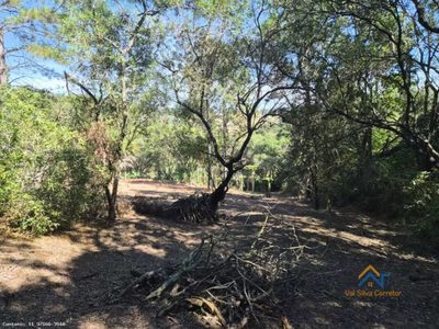 Terreno, 1078 m² - Foto 4