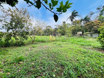 Casa, 3 quartos, 230 m² - Foto 4