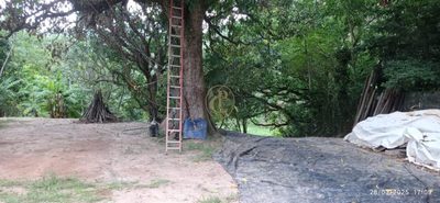 Terreno, 2900 m² - Foto 3