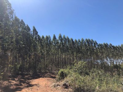 Chácara, 1 quarto, 1636 hectares - Foto 3