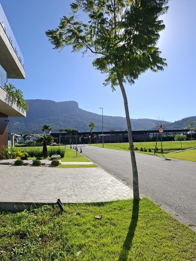 Terreno, 300 m² - Foto 3