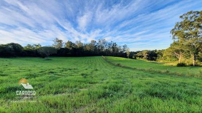 Sítio, 6 hectares - Foto 2