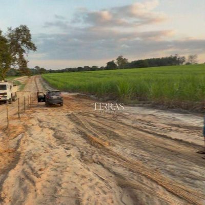 Terreno, 10 hectares - Foto 4