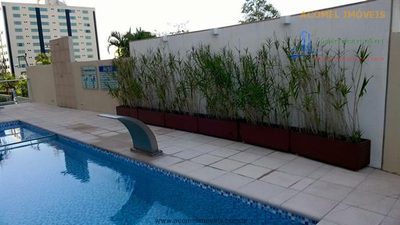 Apartamento, 3 quartos, 80 m² - Foto 2