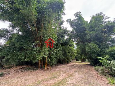 Loteamento e Condomínio, 5 hectares - Foto 4