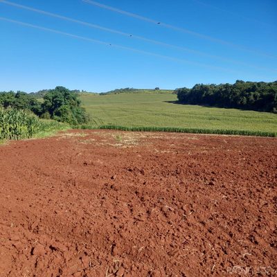 Fazenda, 30 quartos - Foto 4