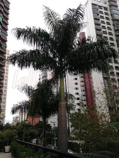 Apartamento, 3 quartos, 160 m² - Foto 1