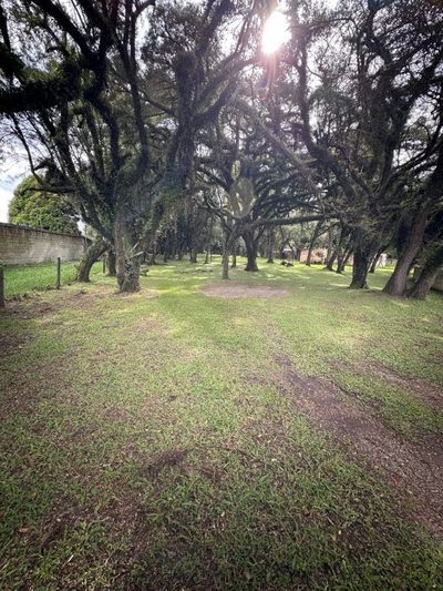 Terreno, 3 hectares - Foto 2