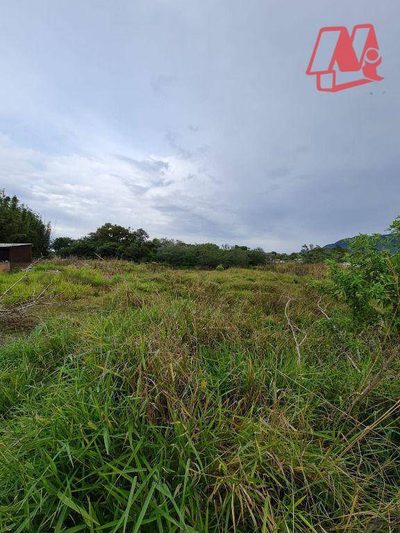 Terreno, 1 hectares - Foto 2