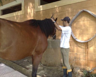 Fazenda, 3 quartos - Foto 4