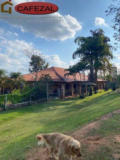 Casa, 3 quartos, 780 m² - Foto 3