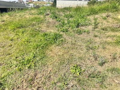 Loteamento e Condomínio, 700 m² - Foto 3
