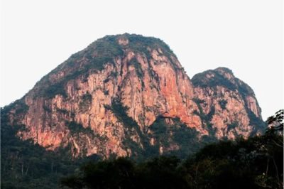 Terreno, 36 hectares - Foto 1