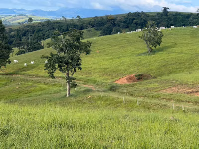 Chácara, 1 quarto, 242 hectares - Foto 1