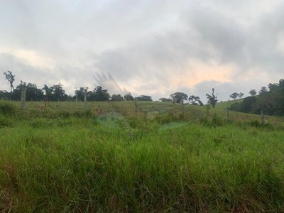 Sítio, 3 quartos, 16 hectares - Foto 4
