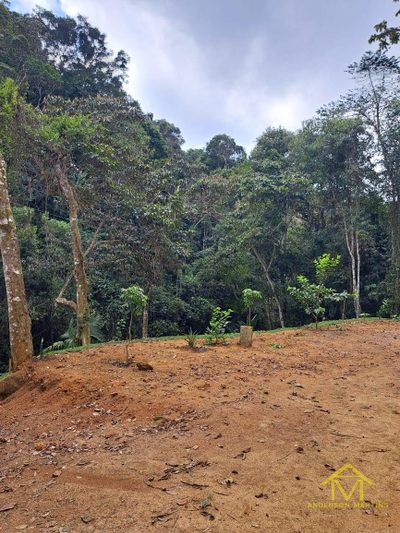 Fazenda, 2 hectares - Foto 3