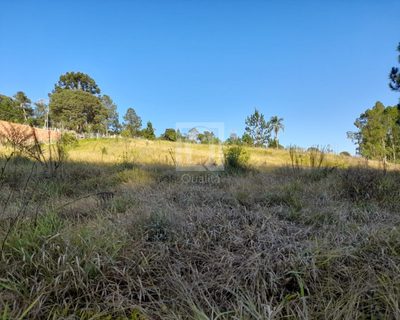 Terreno, 10300 m² - Foto 4