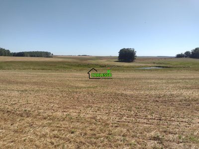 Sítio, 18 hectares - Foto 2