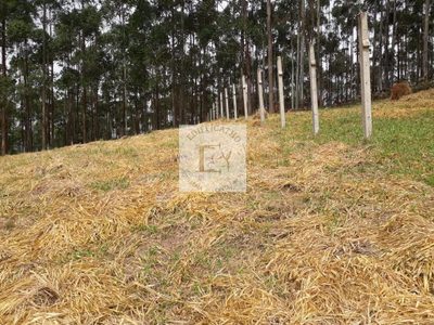 Terreno, 4000 m² - Foto 2