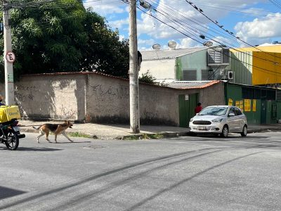 Terreno, 380 m² - Foto 3