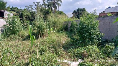 Terreno - Foto 4