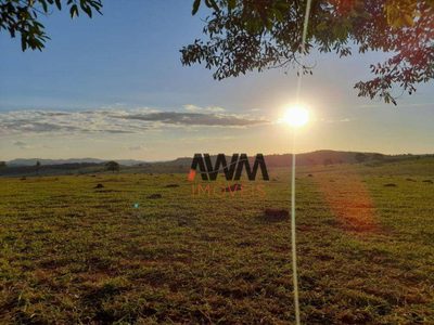 Fazenda, 1210 hectares - Foto 5