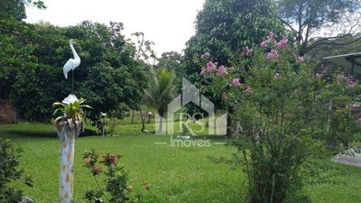 Terreno, 4600 m² - Foto 4