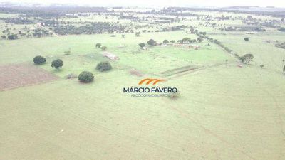 Fazenda, 135 hectares - Foto 1