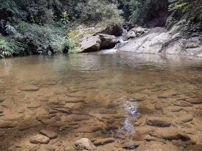 Sítio, 2 quartos, 100 m² - Foto 5