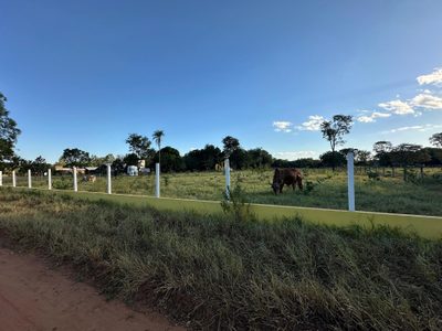 Terreno, 10000 m² - Foto 3