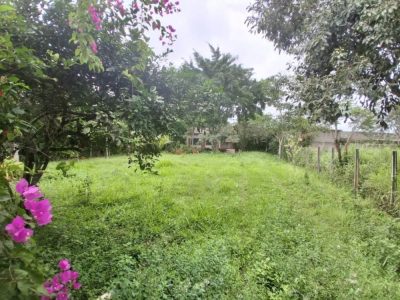 Terreno, 1500 m² - Foto 4