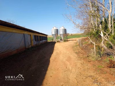 Sítio, 6 hectares - Foto 1