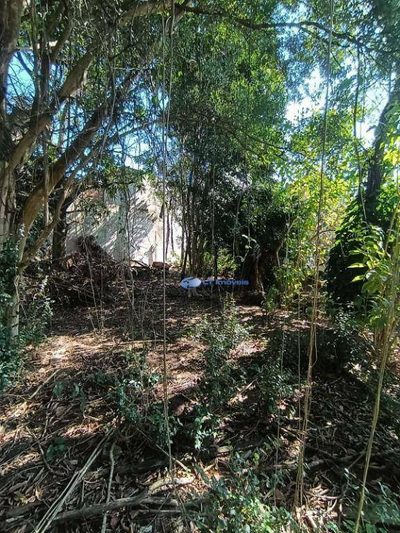 Terreno, 842 m² - Foto 4