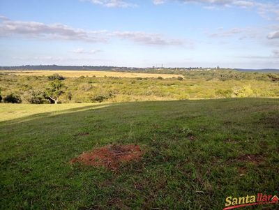 Fazenda, 24 hectares - Foto 5