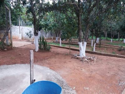Chácara, 3 quartos, 4900 m² - Foto 3