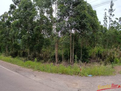 Sítio, 3 quartos, 3 hectares - Foto 3