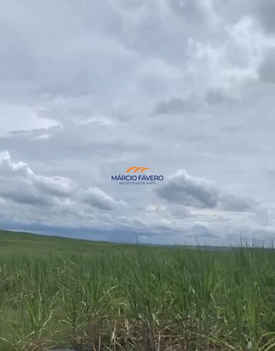 Fazenda, 958 hectares - Foto 3