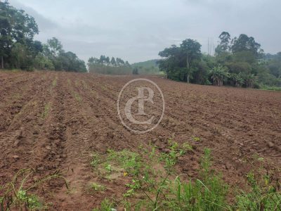 Terreno, 3 hectares - Foto 2