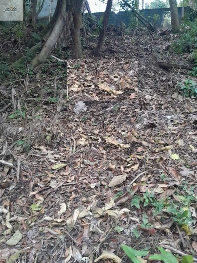 Terreno, 500 m² - Foto 1