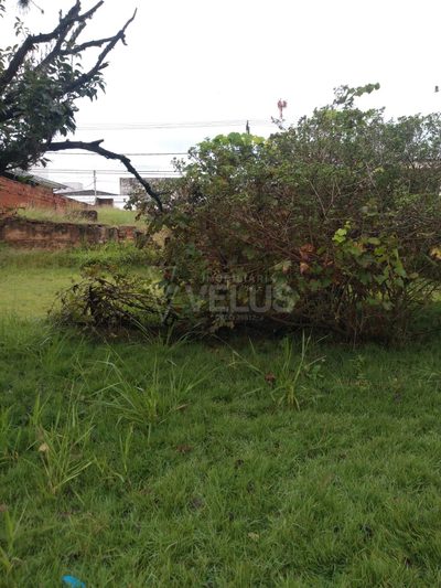 Casa, 3 quartos, 173 m² - Foto 5