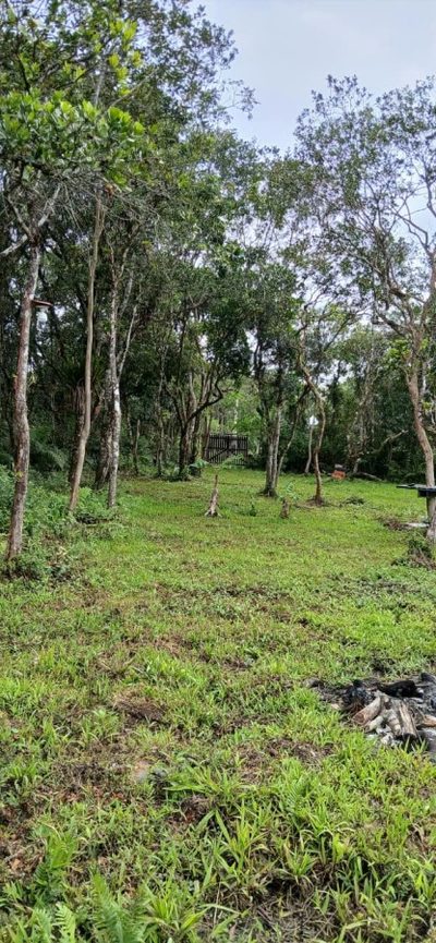 Terreno, 230 m² - Foto 1