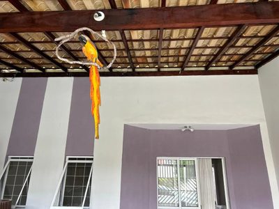 Casa, 3 quartos, 160 m² - Foto 4