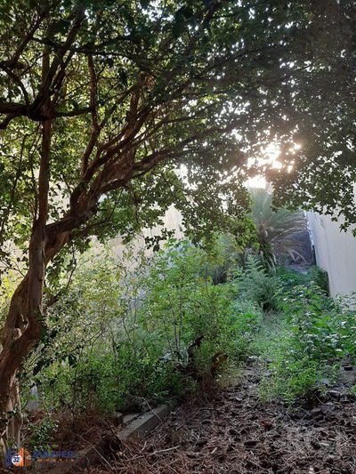 Terreno, 418 m² - Foto 3