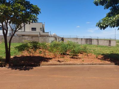 Terreno, 250 m² - Foto 1